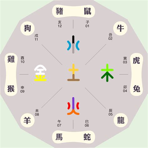 辰字五行|辰字五行属什么